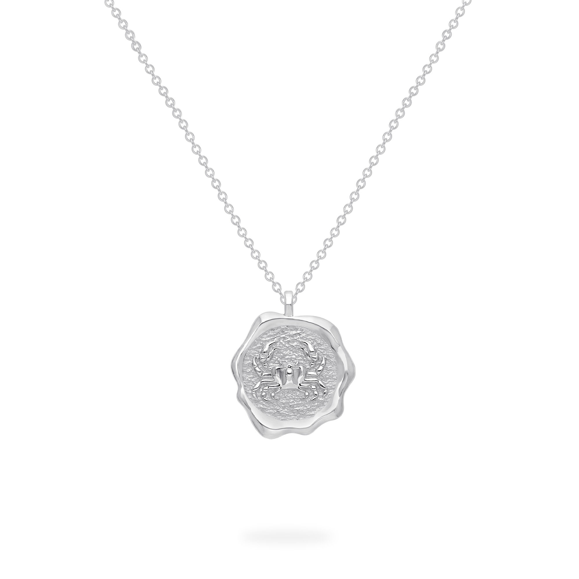 Zodiac necklace clearance silver